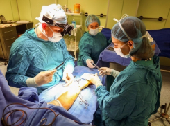 Спасая покусанную собакой женщину, кубанские врачи провели 18 операций