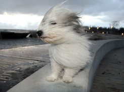 В Анапе ожидается сильный порывистый ветер 