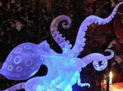 Осьминогами и медузами украсят Сочи к Новому году