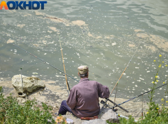 Чемпионат по ловле поплавочной удочкой, теннис и шахматы: афиша спортивных выходных в Краснодаре