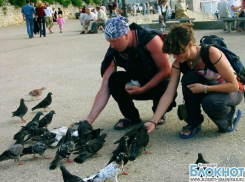 Мэр Анапы поручил чиновникам кормить птиц