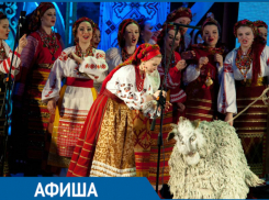 Чем занять себя в Краснодаре на новогодних каникулах