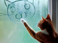 Во вторник на Кубани пройдет легкий дождик 