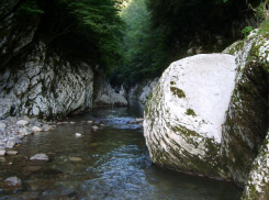 В Сочи из леса эвакуировали травмированную девушку