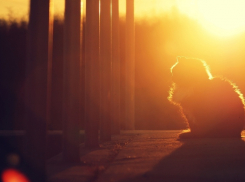  8 Марта на Кубани будет 20 градусов тепла, а в марте, в целом, прохладно 