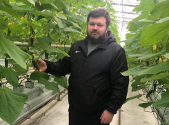 «Нам нужно спасать урожай и сохранять рабочие места», - глава кубанского КФХ Иван Поливода