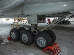  На борту разбившегося Ту-154 в Сочи находились журналисты трех телекомпаний, артисты и известный общественный деятель Доктор Лиза 