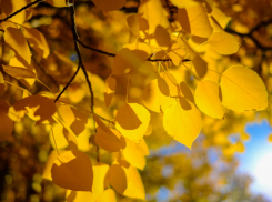 Южное тепло возвращается в Краснодар: в городе до +12 градусов