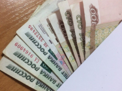  Менеджера по кукурузе с зарплатой 80 тысяч рублей ищут в Краснодаре 