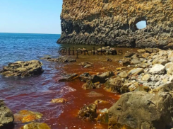 Красным цветом окрасилось море у скалы Парус под Геленджиком