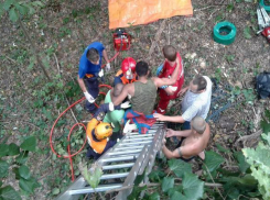 Мужчине спиленным деревом придавило ногу в Сочи