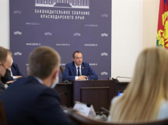 В Краснодаре депутаты ЗСК обсудили работу краевой службы занятости в условиях новых вызовов
