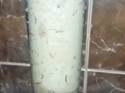 «С наших кранов идут черви!» - в Новороссийске семья отравилась городской водой