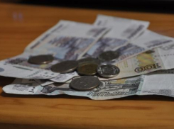 Почти на 10% увеличилась средняя зарплата на Кубани