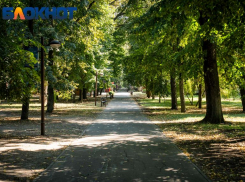 В парках Краснодара будут травить клещей