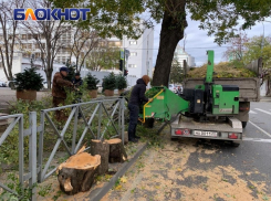 В Краснодаре спустя две недели отменили режим повышенной готовности