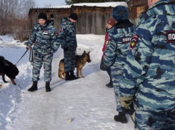 Поиски 10-летнего мальчика в Белореченском районе продолжаются: следователи возбудили дело