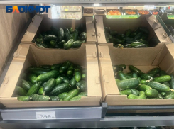 Огурцы по цене мяса завезли в магазины Краснодара: экономист назвал причины