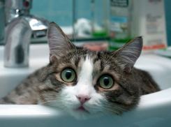 Центр Сочи остался без воды