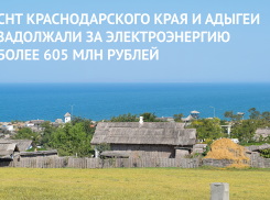 СНТ Краснодарского края и Адыгеи задолжали за электроэнергию более 605 млн рублей