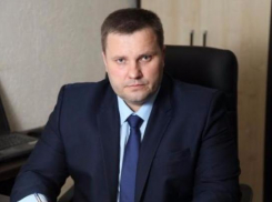 Власти Кубани выделили на лошадей 29 миллионов рублей