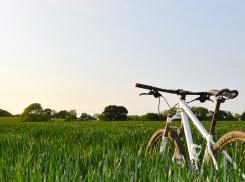 Краснодарские чиновники подарили Галицкому велосипед