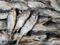 Более 6 тыс. тарани обнаружили у 64-летней пенсионерки на Кубани