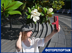 Цветы размером с голову: гигантские магнолии распустились в парке Галицкого