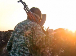 Кандидат наук из Краснодара подделал паспорт ради вступления в ряды боевиков ИГ*