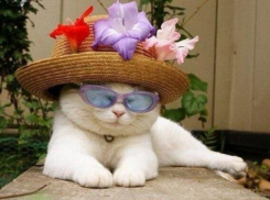 Лето пришло: в Краснодаре воздух прогреется до рекордных 25 градусов