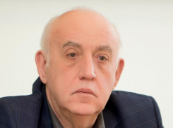 В 10 и 100 раз увеличилась площадь земельных участков у депутата Гордумы Краснодара Вячеслава Буренка 