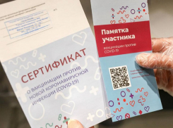 Четверть краснодарцев призналась в покупке фальшивых QR-кодов