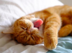 Дождь и град могут испортить воскресные выходные на Кубани