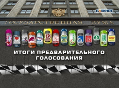 По итогам предварительного голосования в Госдуму прошли шесть партий 