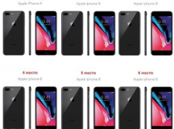 «Голосовачи» появились в 15-ти районах Краснодарского края