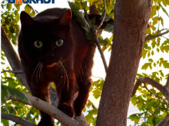 Сильные осадки обрушатся на Краснодарский край