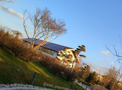 В парке «Краснодар» перенесли открытие Японского сада с 20 марта