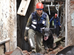 Кинологической службе МЧС России 20 лет