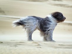 Новороссийск, прячься! - МЧС предупреждает о надвигающемся урагане
