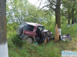 В Крымском районе в ДТП погиб водитель иномарки