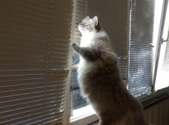 В субботу в Краснодарском крае будет относительно тепло