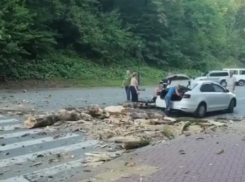  Дерево рухнуло на машину в Сочи 
