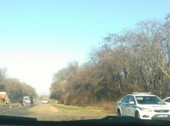 На Кубани возбудили уголовное дело по факту массового смертельного ДТП в Тихорецком районе