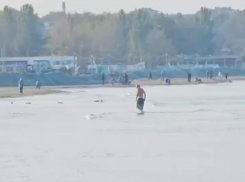 Выходящий из моря «морж» поразил жителей кубанского курорта