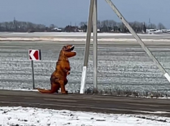 В Краснодаре раскрыли тайну потерявшегося в поле динозавра