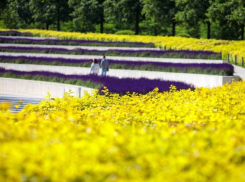 В Краснодаре показали весенний парк Галицкого