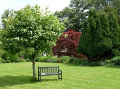 В каждом районе в честь 80-летия Краснодарского края появятся парки 