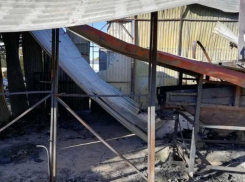 Около 3,5 тысяч птиц сгорело в цеху под Новороссийском