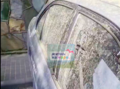 В Краснодарском крае после дождя машины и дома покрылись зеленой пылью