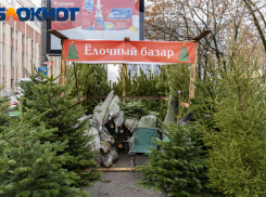 С 15 декабря в Краснодаре откроют ёлочные базары в ТЦ и гипермаркетах: список адресов 